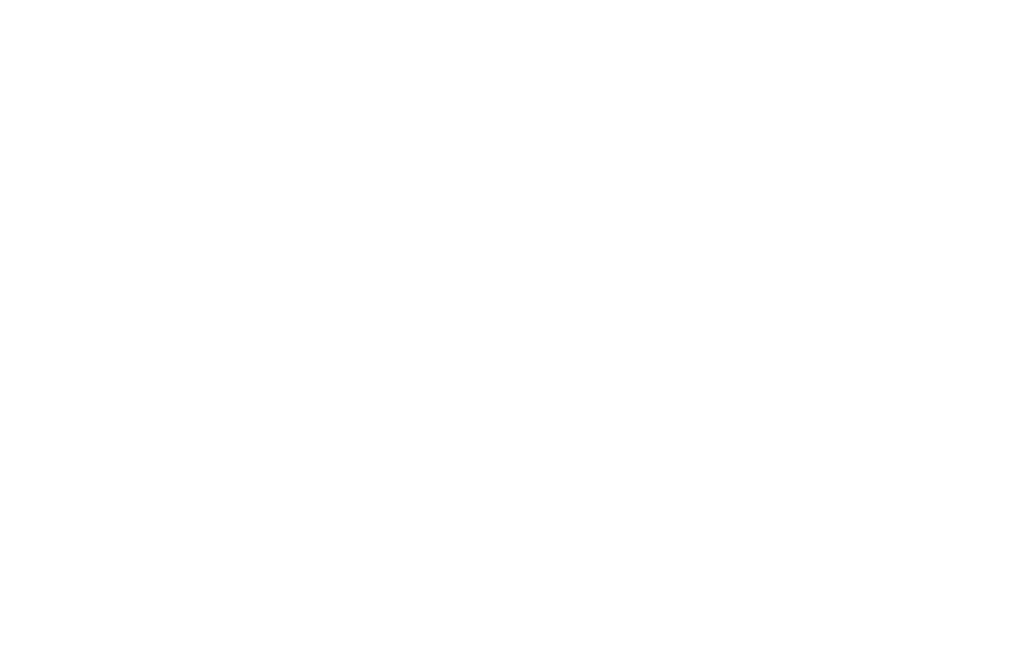 VZR Garant - Logo